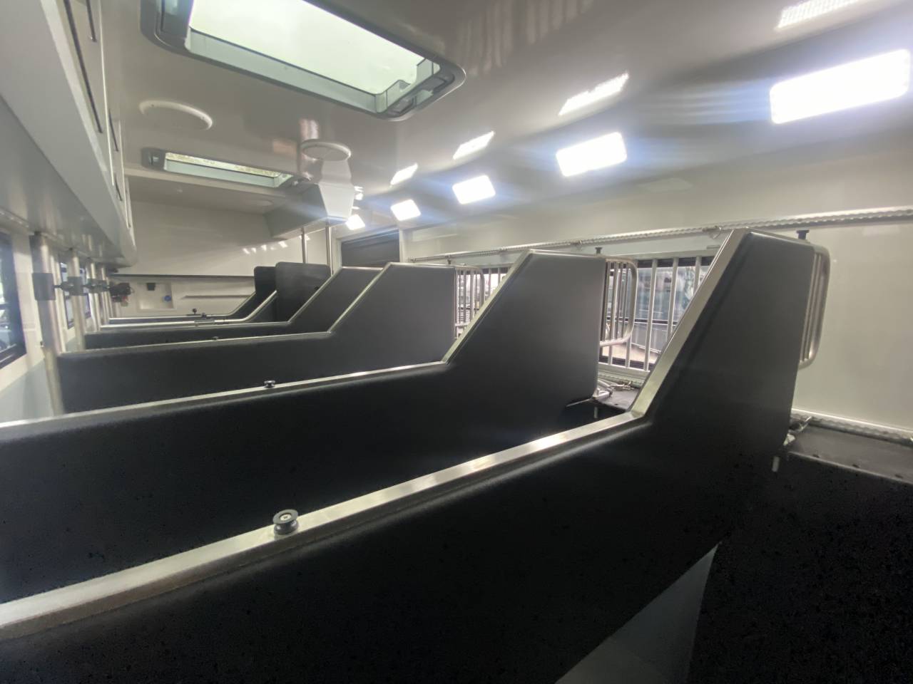 Zware paardenvrachtwagen (groot rijbewijs) AKX  2024 Tweedehands