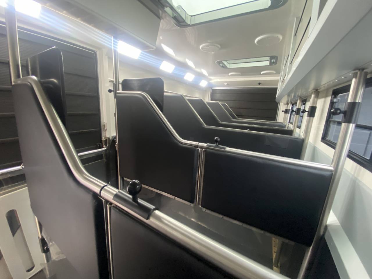 Zware paardenvrachtwagen (groot rijbewijs) AKX  2024 Tweedehands