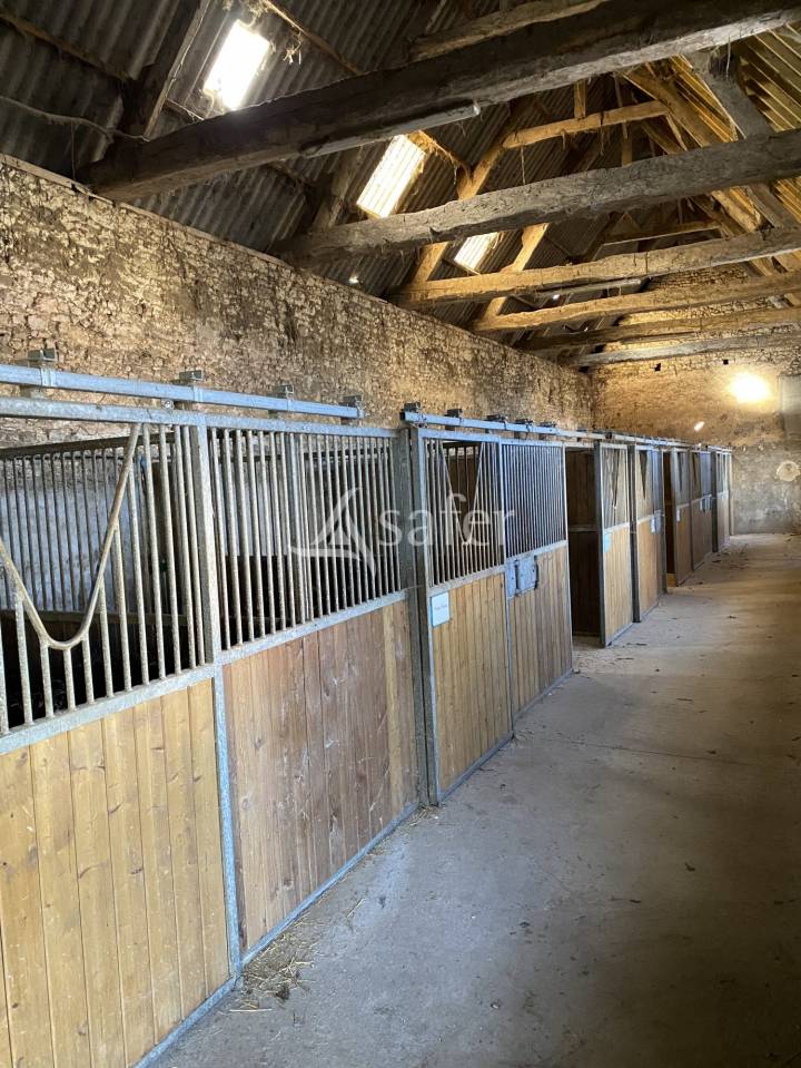 Hippisch vastgoed Koop Orne