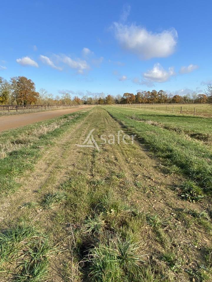 Hippisch vastgoed Koop Orne