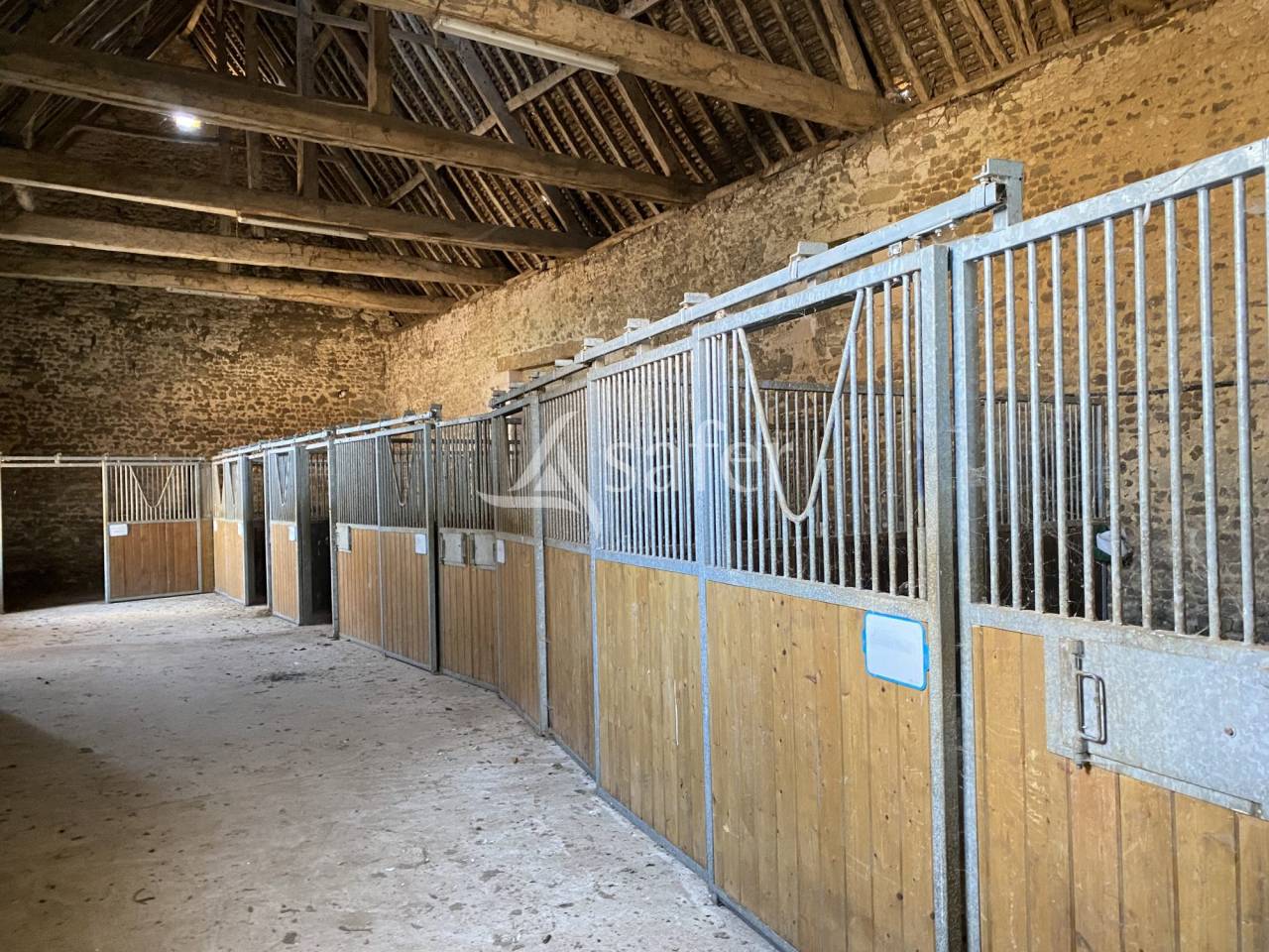 Hippisch vastgoed Koop Orne