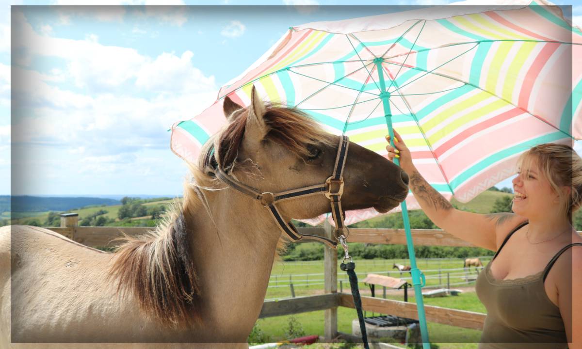 Ruin Ras onbekend Te koop 2023 Muisgrijs