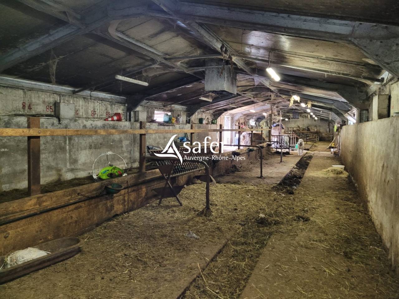 Landbouw bedrijf Koop Cantal