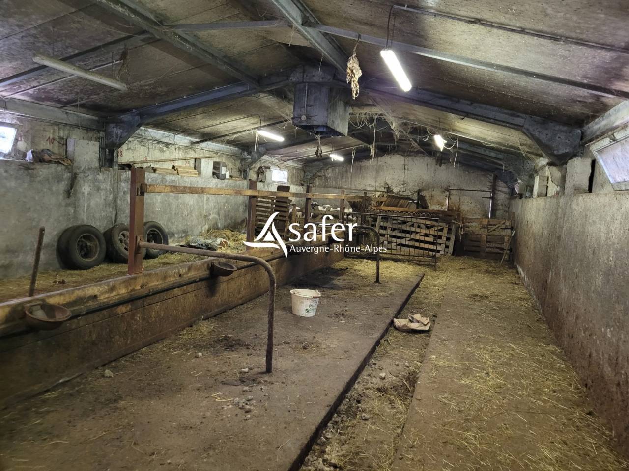 Landbouw bedrijf Koop Cantal