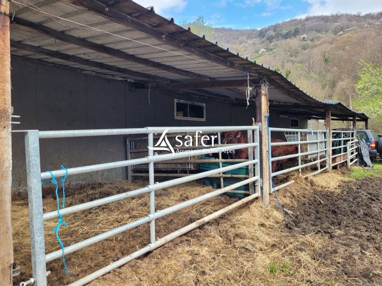 Landbouw bedrijf Koop Cantal