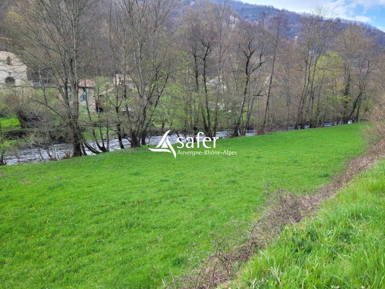 Landbouw bedrijf Koop Cantal