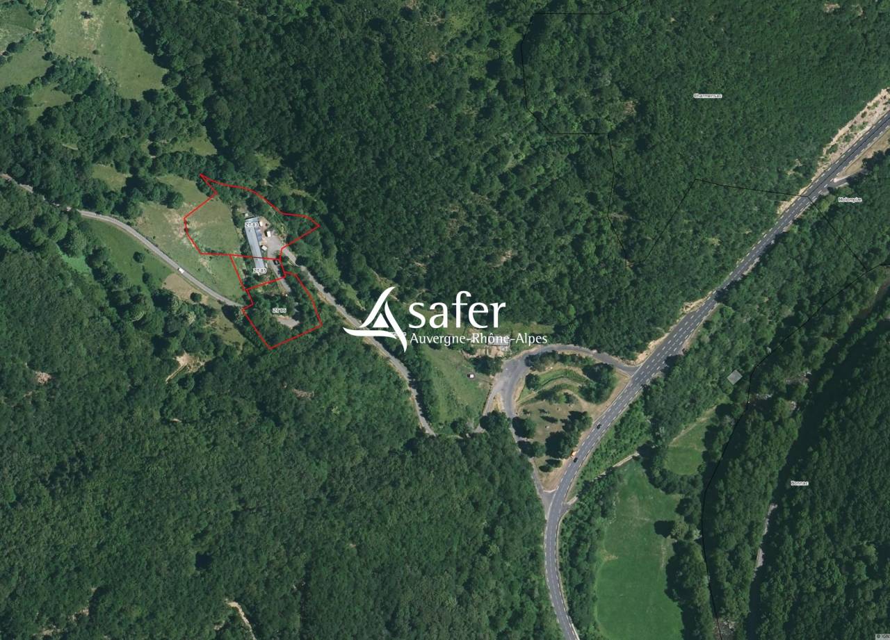 Landbouw bedrijf Koop Cantal