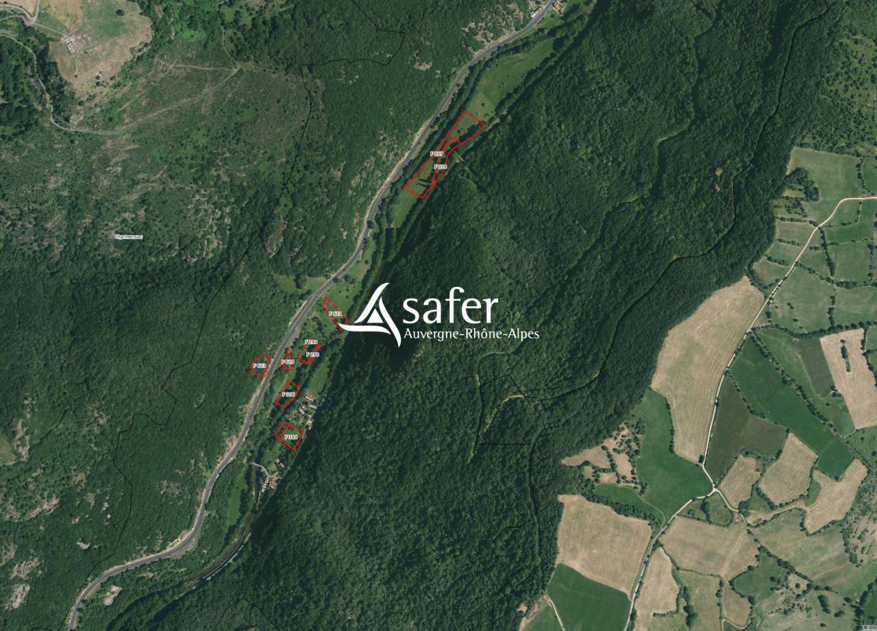 Landbouw bedrijf Koop Cantal