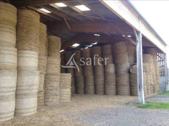 Landbouw bedrijf Koop Orne