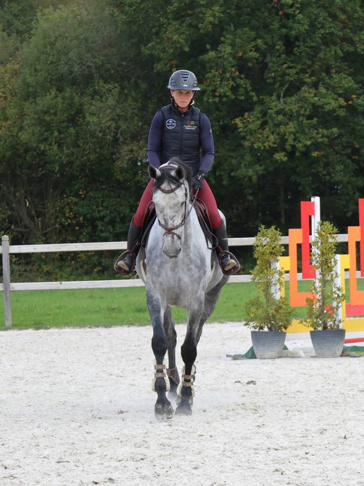 Ruin Selle Français Te koop 2020 Schimmel ,  Baloussini