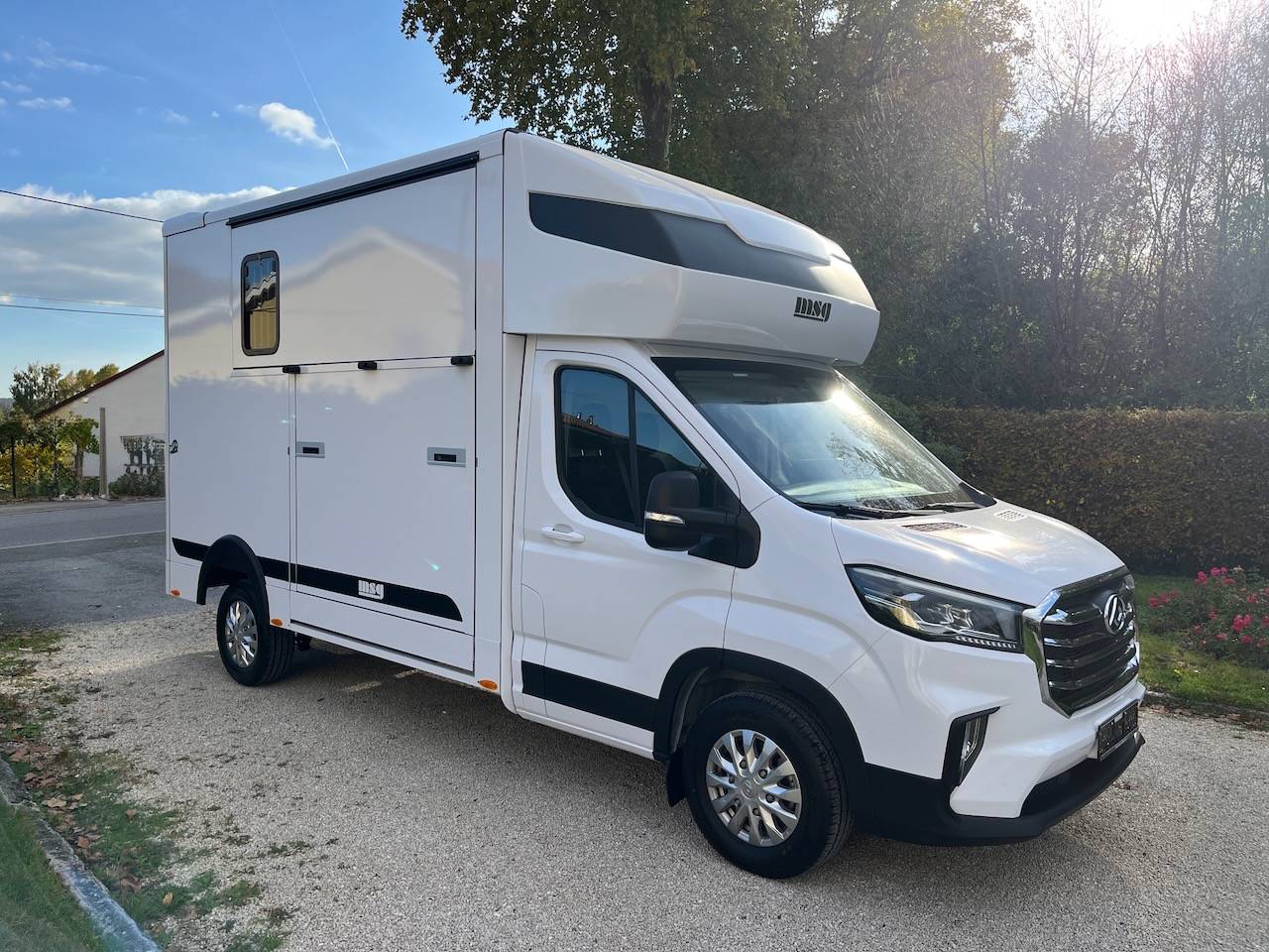 Kleine paardenvrachtwagen (B rijbewijs) Autre marque MAXUS 0 Nieuw