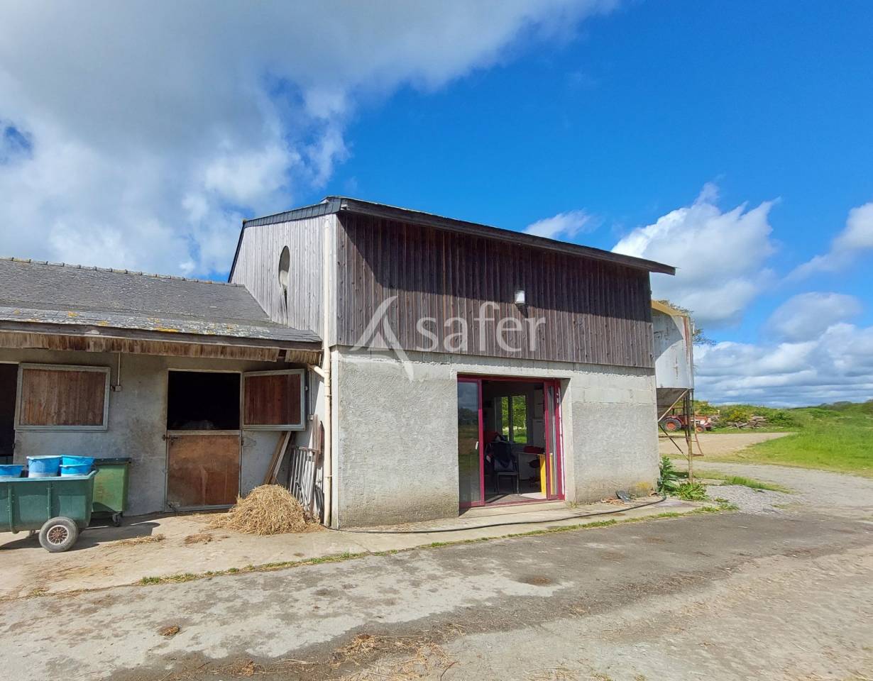 Hippisch vastgoed Koop Loire-Atlantique