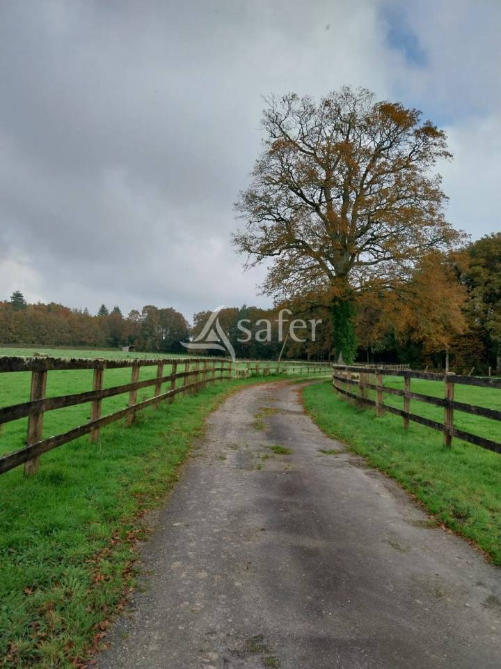 Hippisch vastgoed Koop Loire-Atlantique