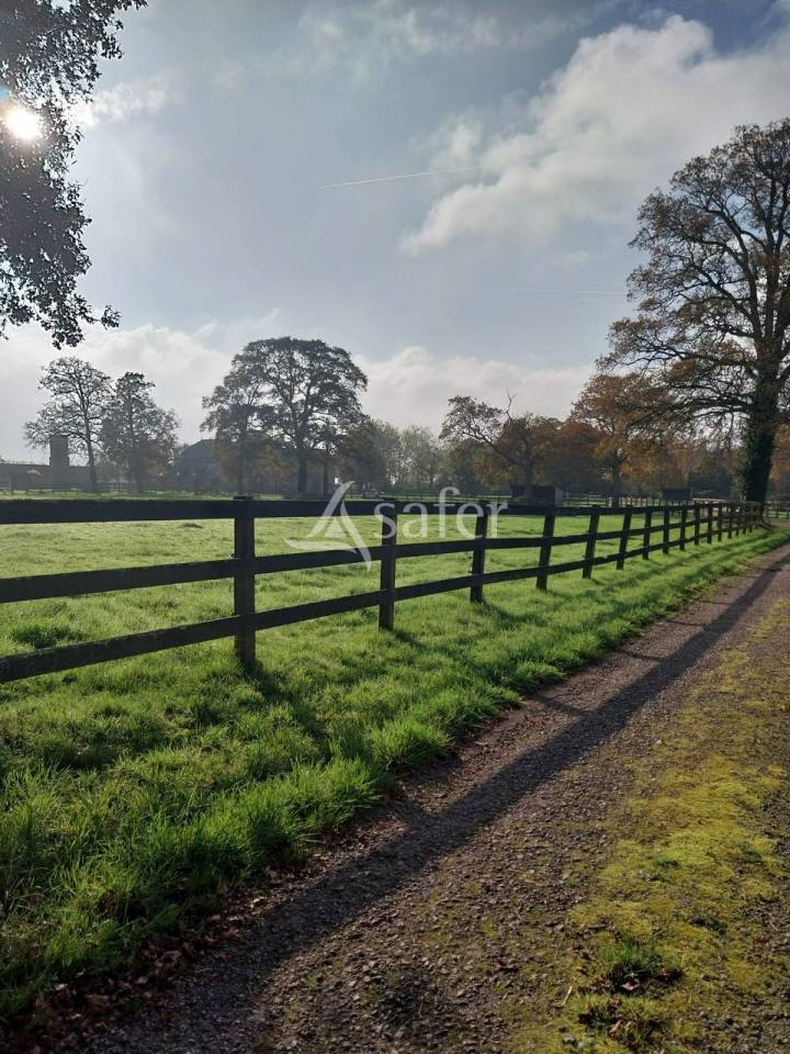 Hippisch vastgoed Koop Loire-Atlantique