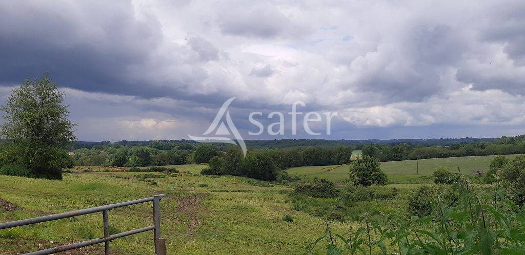 Schapen exploitatie Koop Haute-Vienne