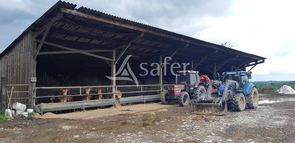 Schapen exploitatie Koop Haute-Vienne