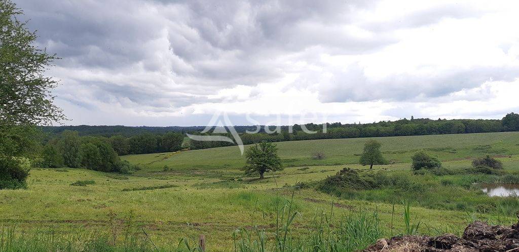 Schapen exploitatie Koop Haute-Vienne