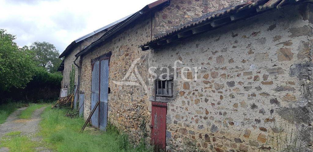 Schapen exploitatie Koop Haute-Vienne