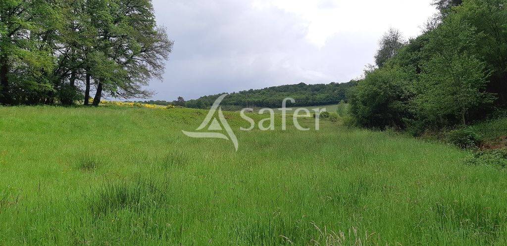 Schapen exploitatie Koop Haute-Vienne