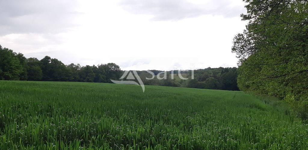 Schapen exploitatie Koop Haute-Vienne