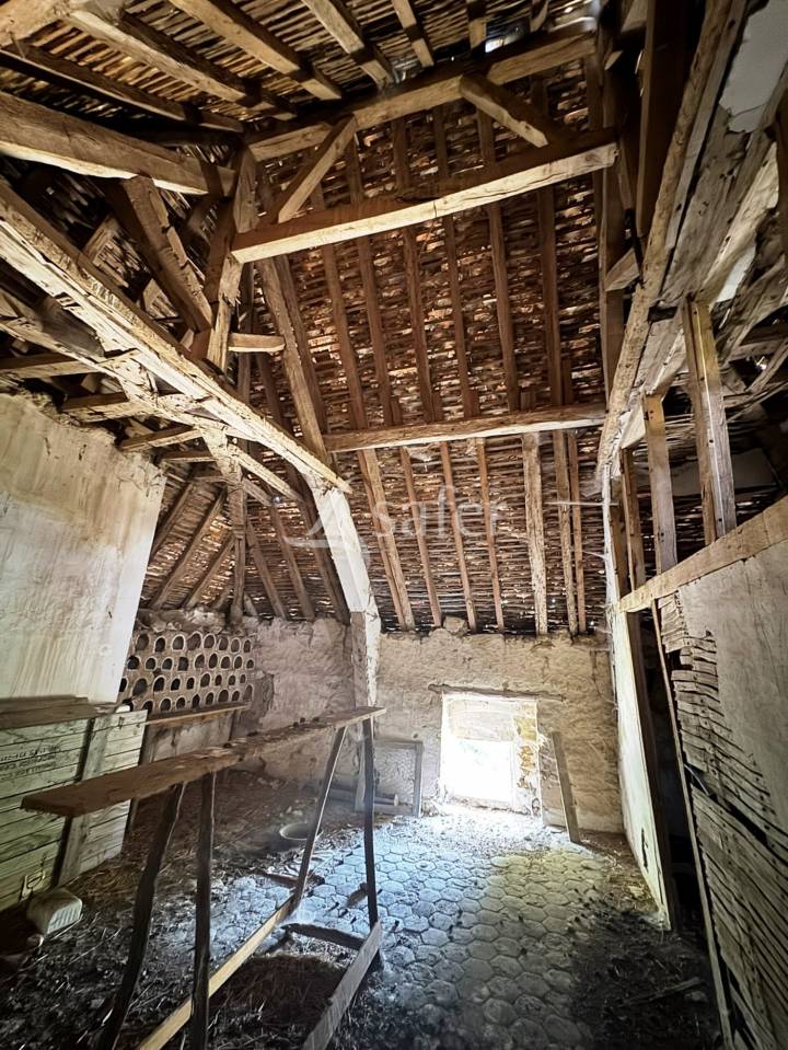 Landbouw bedrijf Koop Seine-et-Marne