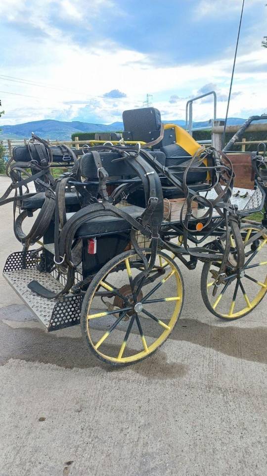 Rijtuigen - Marathon vrijetijd   
