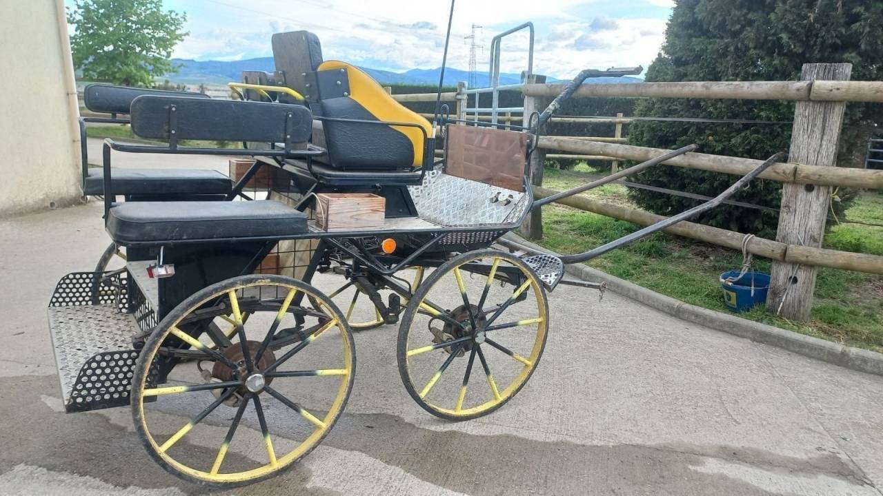 Rijtuigen - Marathon vrijetijd   