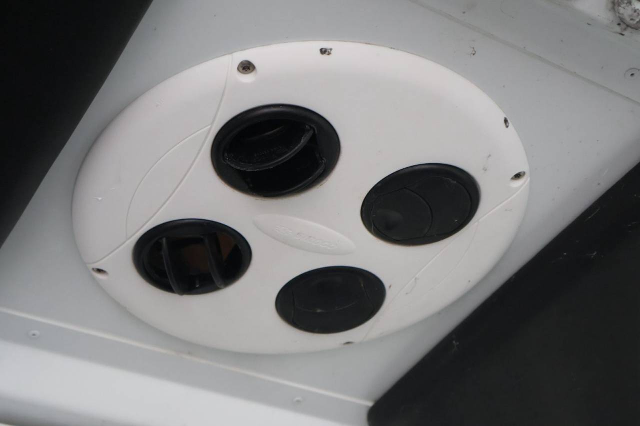 Kleine paardenvrachtwagen (B rijbewijs) Theault MASTER PROTEO SWITCH 2019 Tweedehands