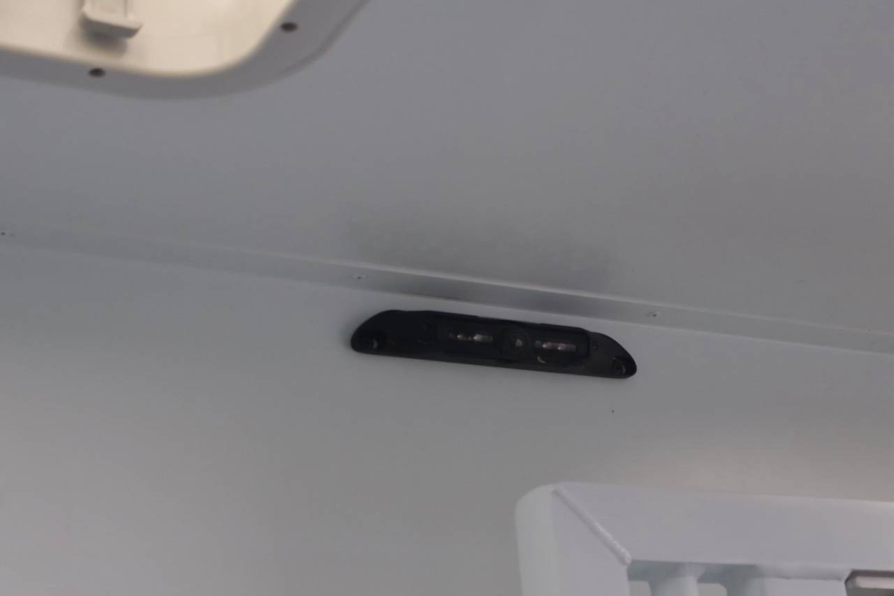 Kleine paardenvrachtwagen (B rijbewijs) Theault MASTER PROTEO SWITCH 2019 Tweedehands