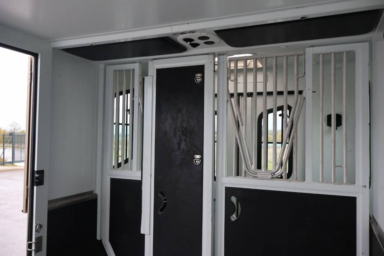 Kleine paardenvrachtwagen (B rijbewijs) Theault MASTER PROTEO SWITCH 2019 Tweedehands