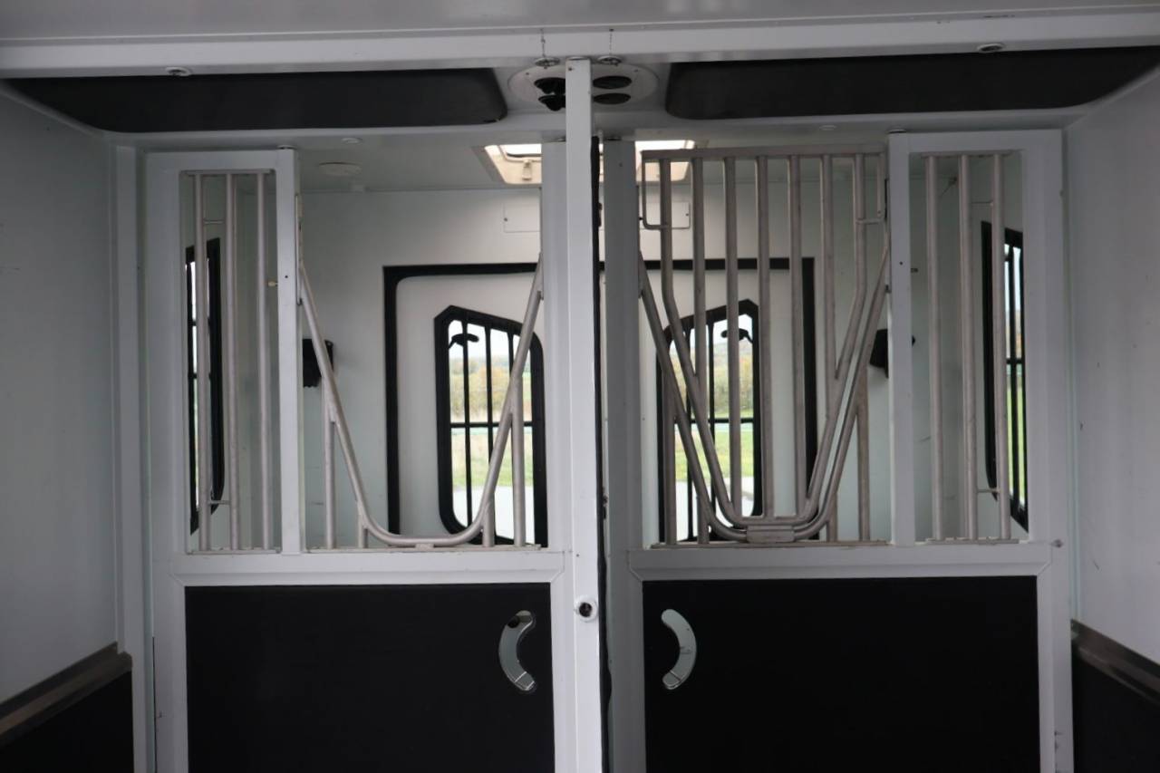 Kleine paardenvrachtwagen (B rijbewijs) Theault MASTER PROTEO SWITCH 2019 Tweedehands