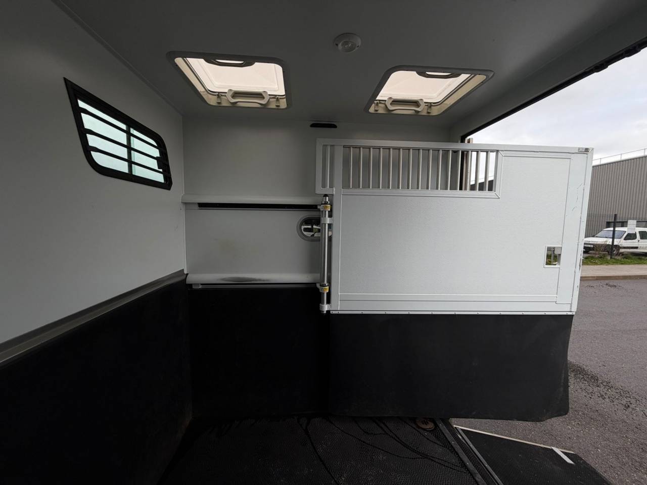 Kleine paardenvrachtwagen (B rijbewijs) Theault MASTER PROTEO SWITCH 2019 Tweedehands