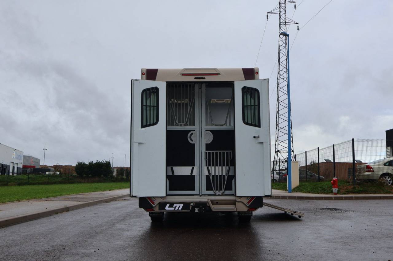 Kleine paardenvrachtwagen (B rijbewijs) Theault MASTER PROTEO SWITCH 2019 Tweedehands