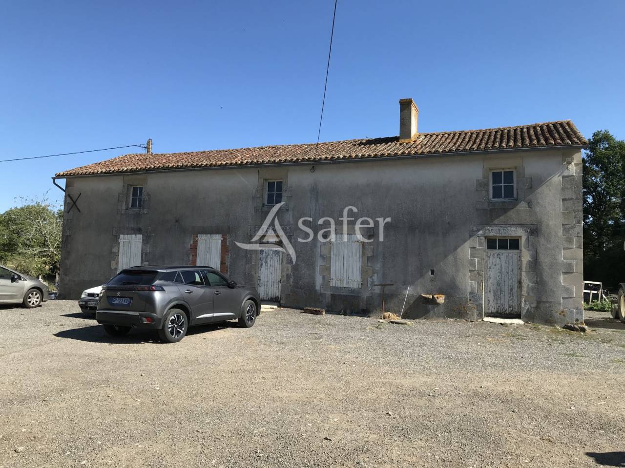 Schapen exploitatie Koop Charente