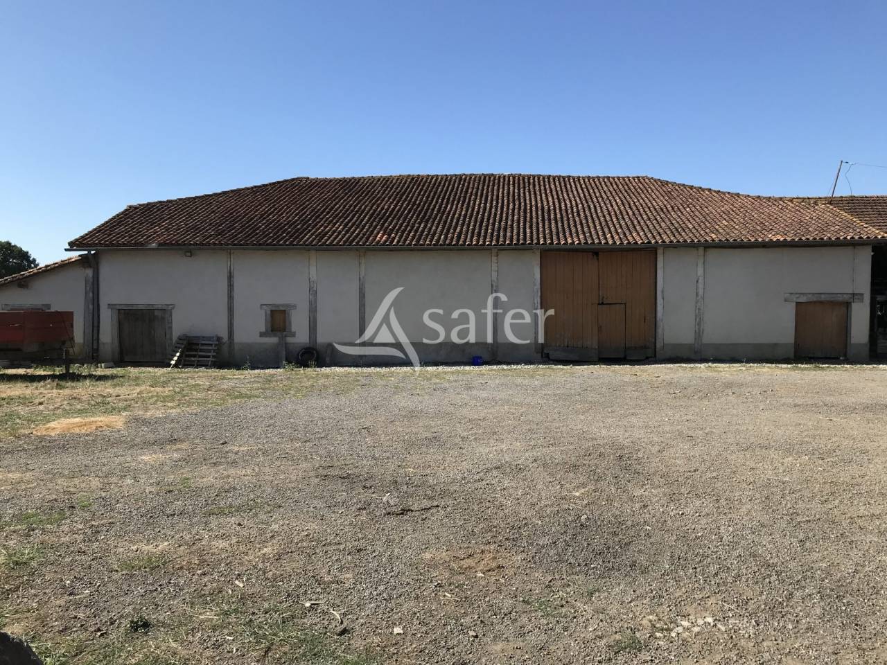 Schapen exploitatie Koop Charente