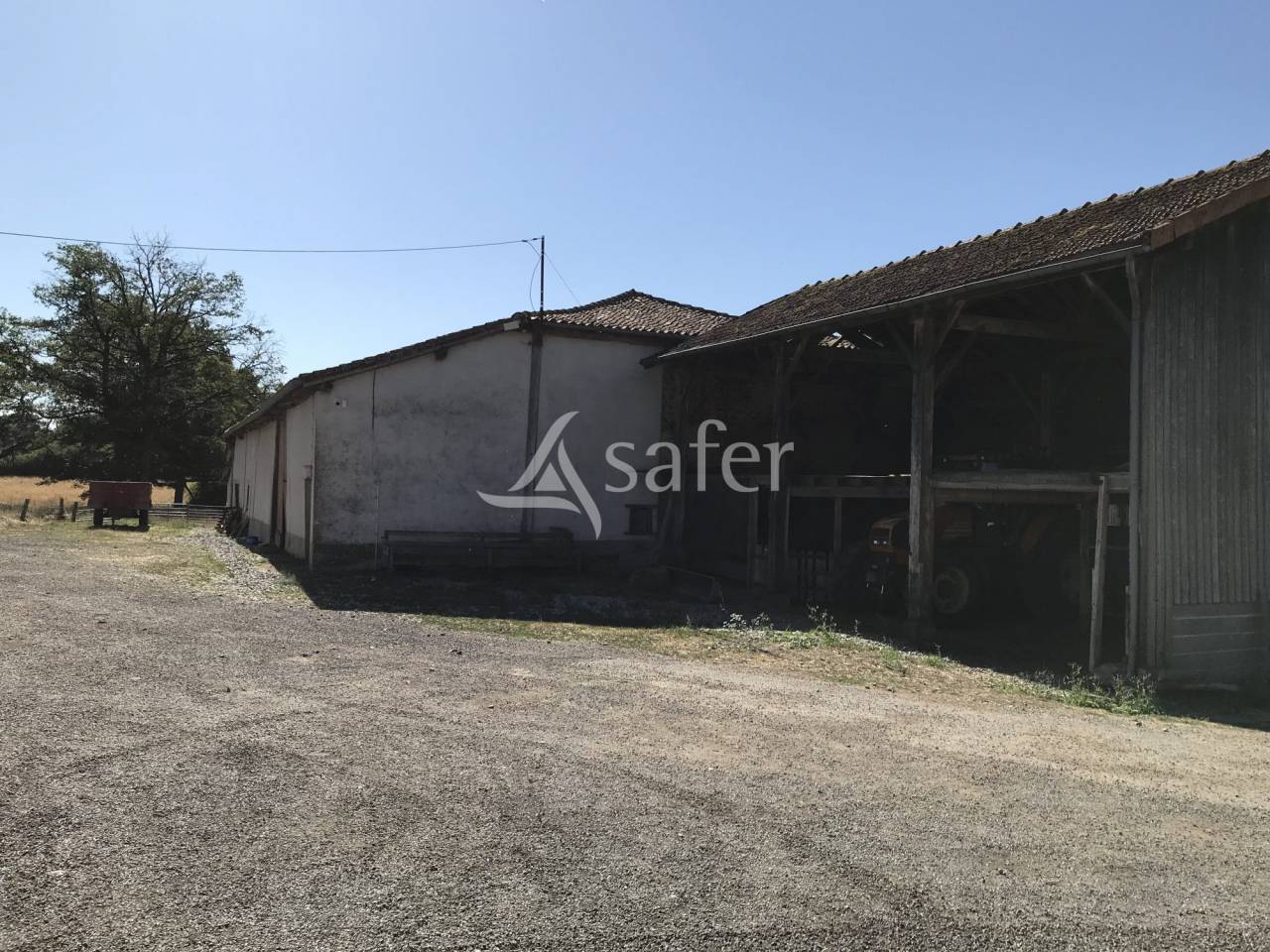 Schapen exploitatie Koop Charente