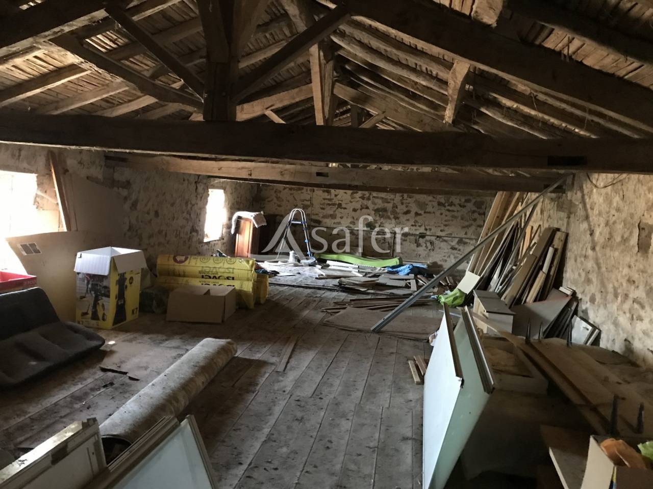 Schapen exploitatie Koop Charente