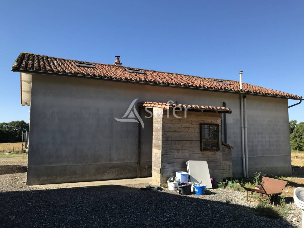 Schapen exploitatie Koop Charente