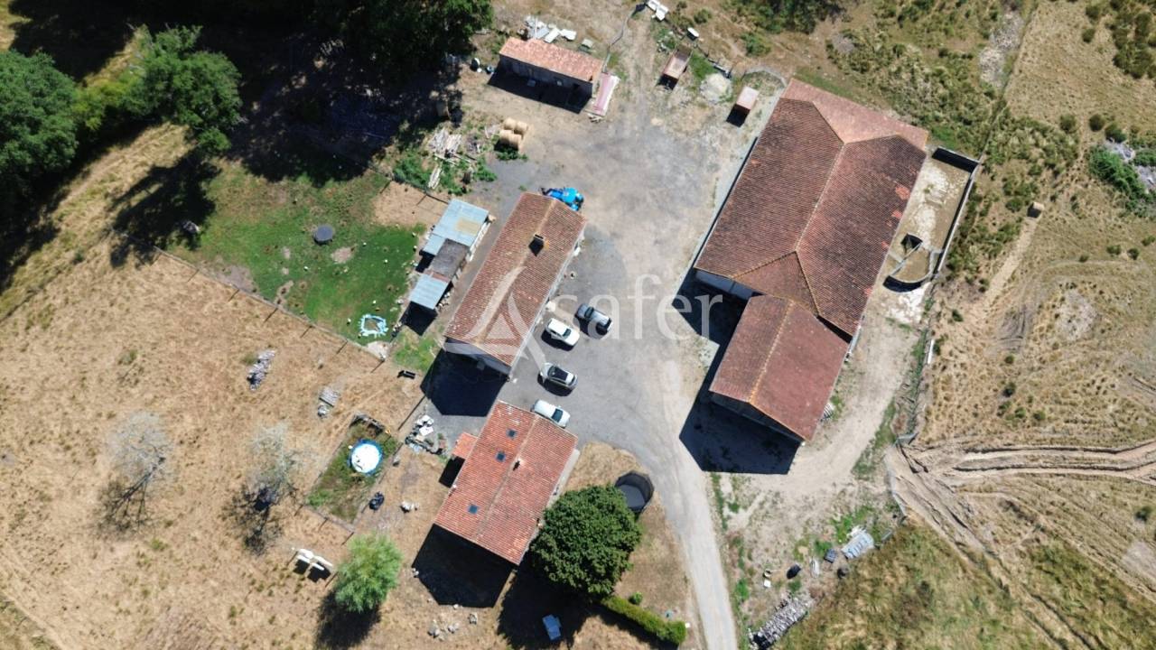 Schapen exploitatie Koop Charente