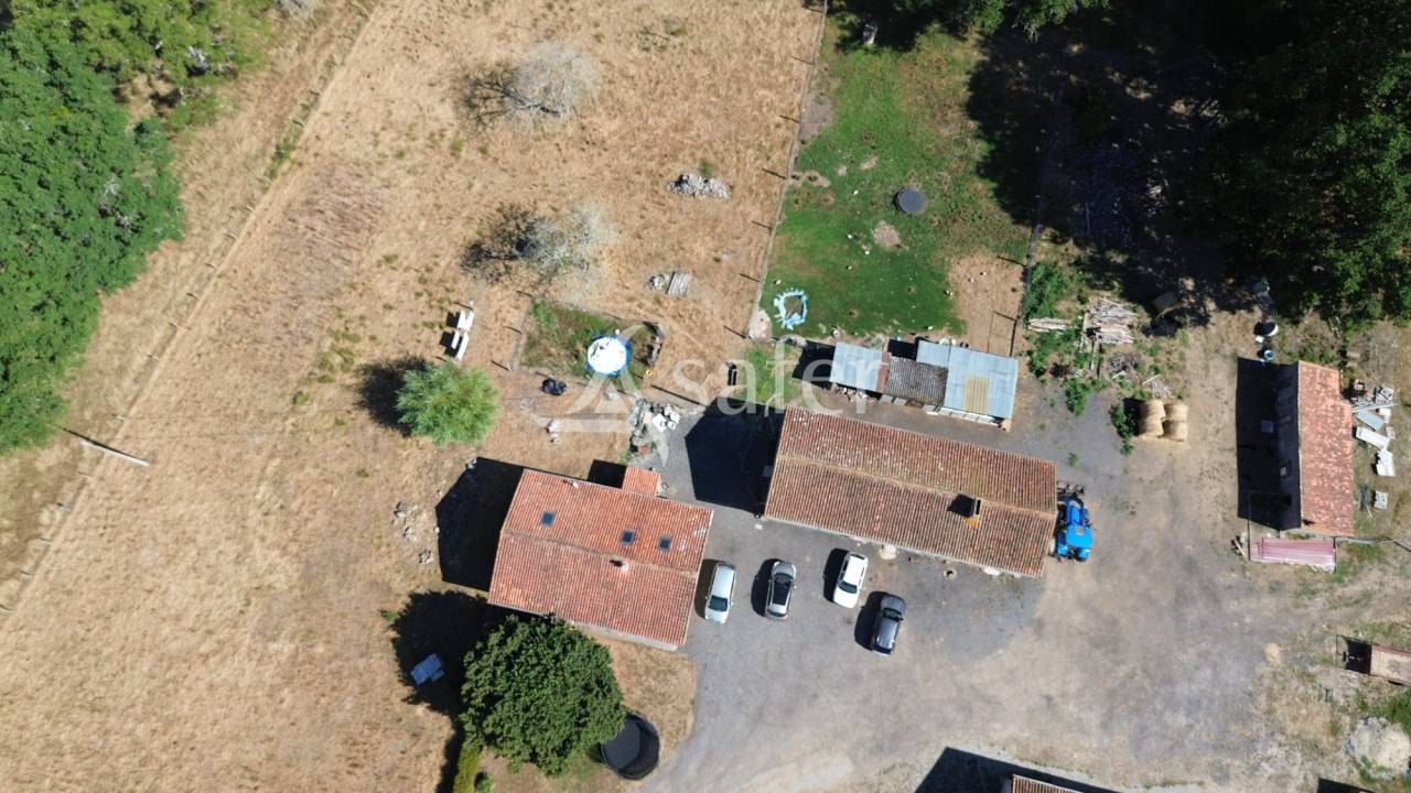 Schapen exploitatie Koop Charente