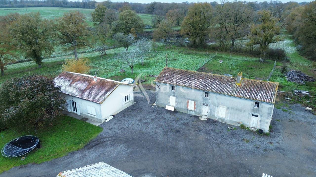 Schapen exploitatie Koop Charente