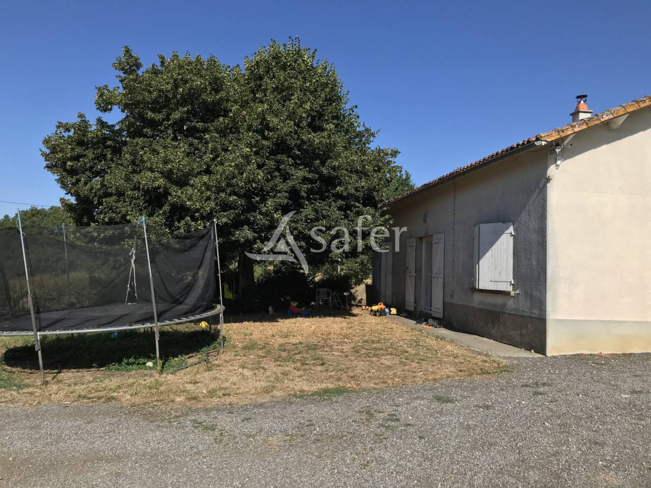 Schapen exploitatie Koop Charente