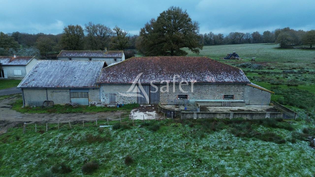 Schapen exploitatie Koop Charente