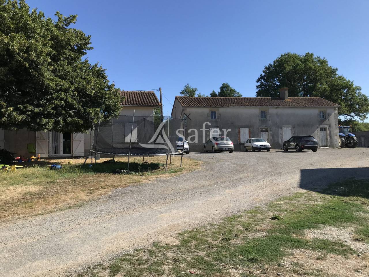 Schapen exploitatie Koop Charente