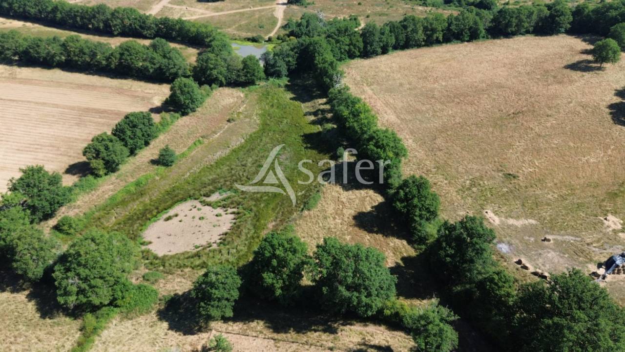 Schapen exploitatie Koop Charente