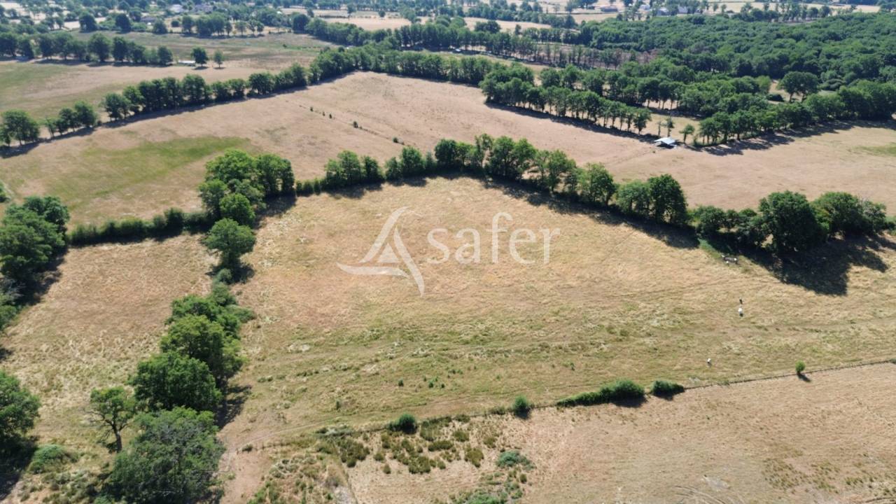 Schapen exploitatie Koop Charente