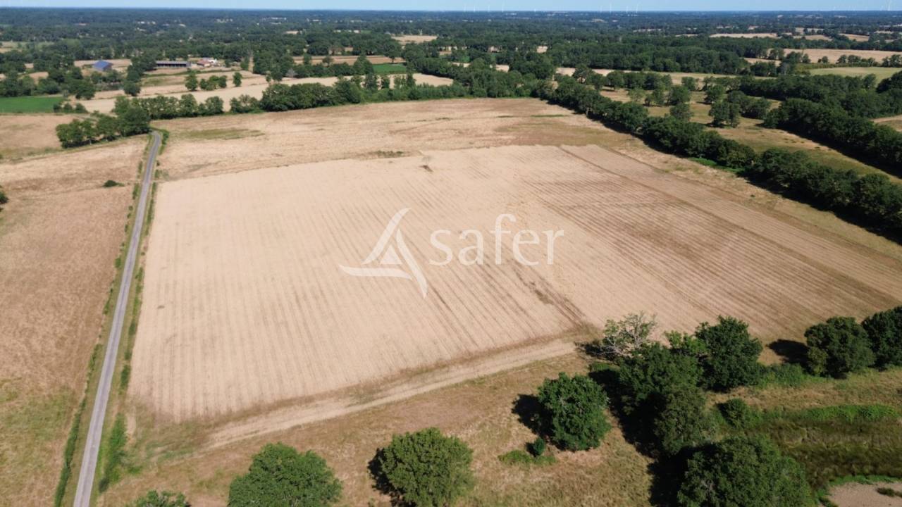 Schapen exploitatie Koop Charente
