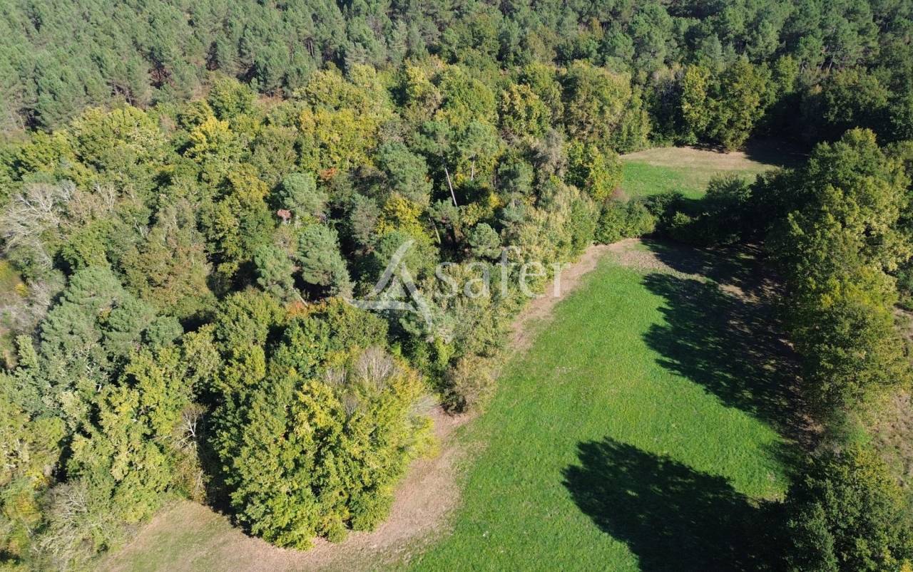 Hippisch vastgoed Koop Dordogne