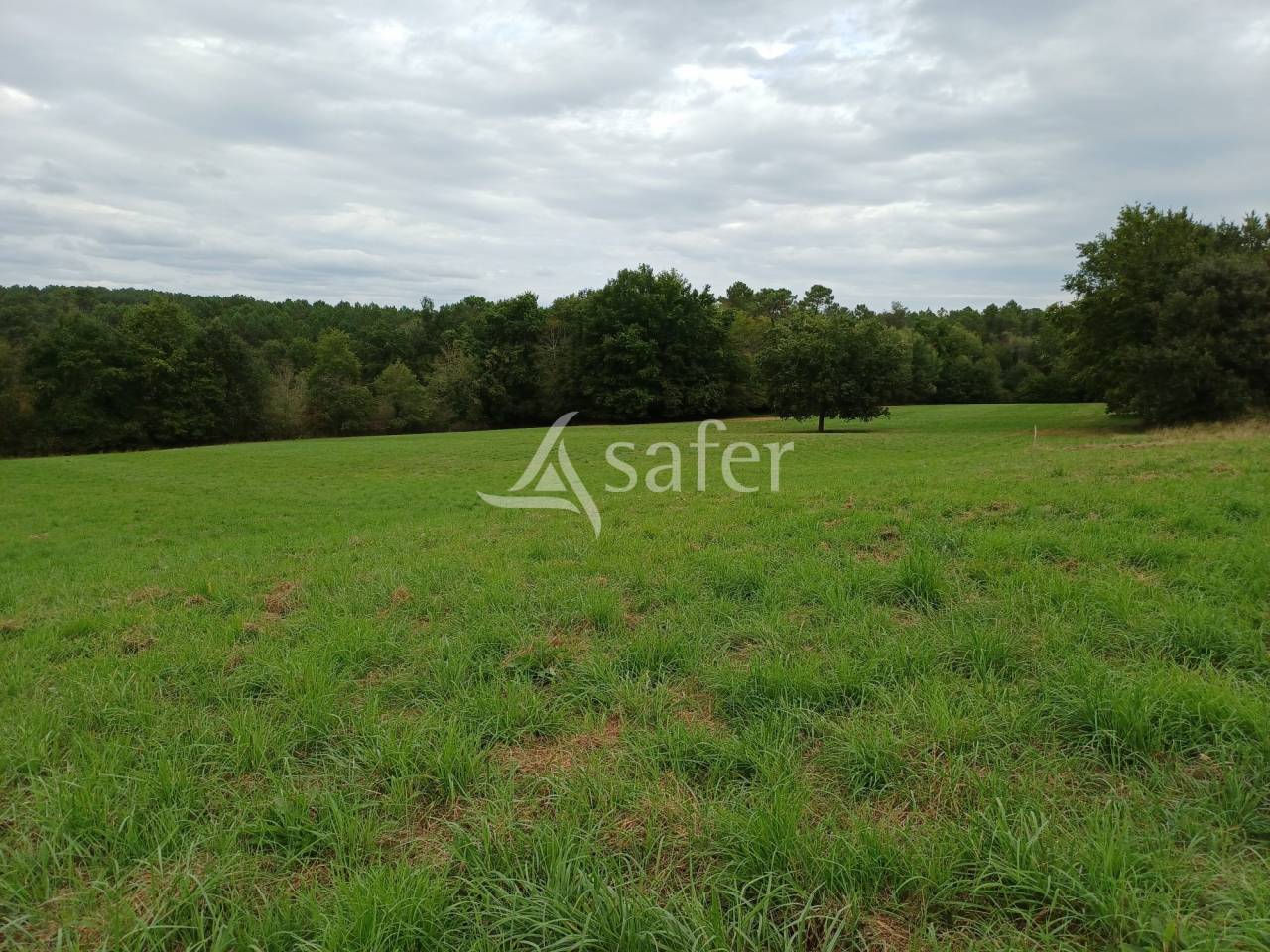 Hippisch vastgoed Koop Dordogne