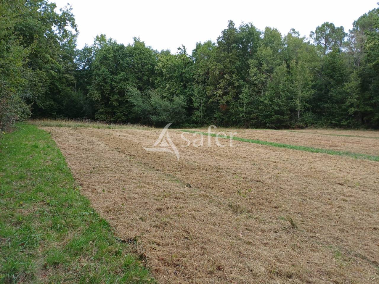 Hippisch vastgoed Koop Dordogne